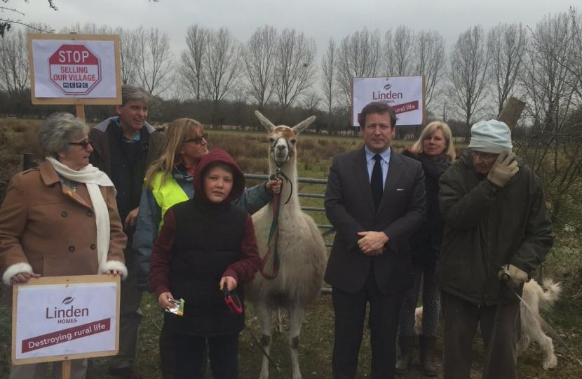 vaizey alpaca